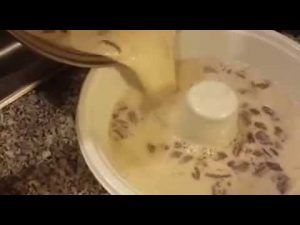 sencilla-receta-de-gelatina-de-mosaico-con-gelatina-de-leche-sabor-nuez-2