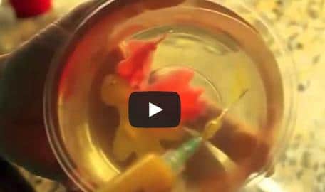 COMO HACER GELATINA ARTISTICA ROJA, AMARILLA Y VERDE