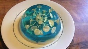 como-hacer-gelatinas-decoradas-flor-blanca-3