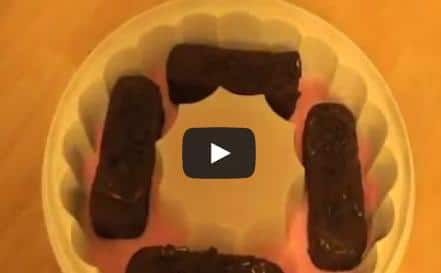 COMO HACER GELATINA CASERA, DE GANSITOS