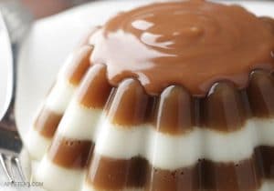 como-hacer-gelatinas-decoradas-de-café-3