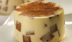 como hacer gelatinas de mosaico nestle 3